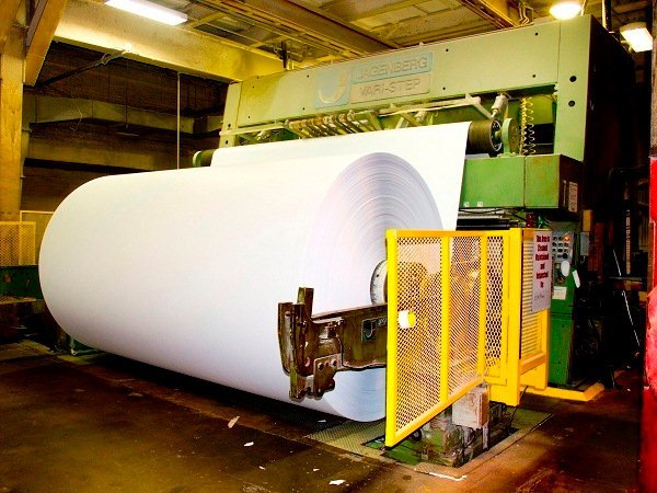 Paper & Pulp